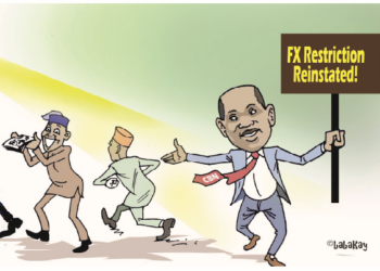 CBN, Reinstate The FX Restriction