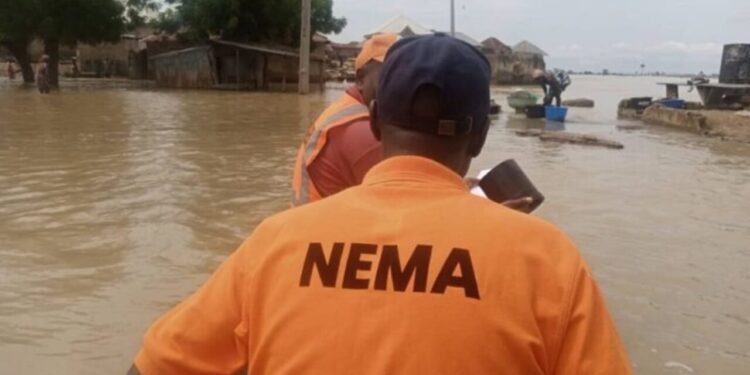 NEMA
