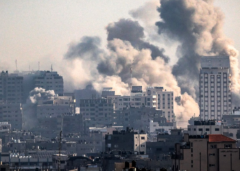 Gaza War May Cause Global Famine, Varsity Don Warns