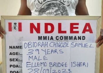 NDLEA Arrests Wanted Kingpin, Chadian, Grandpa Over UK-bound Shipment, Others