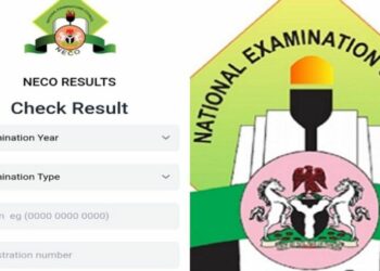 How To Check 2023 WAEC, NECO Results From Your Phone