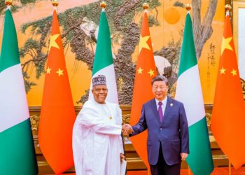China To Refinance, Complete Abuja-Kano, PH-Maiduguri Rail Projects As Shettima Meets Xi Jinping