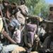 How To Deradicalise Armed Groups In South East – Nextier