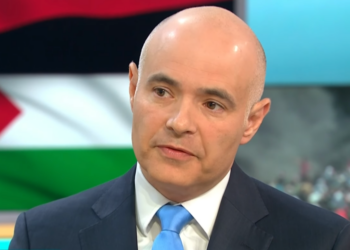 This Fight Is Not About Israel And Palestine; It Is About Hamas – Ambassador Freeman