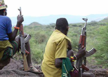 Terrorists Kill Custom Officer, Nursing Mother, Burn Cars, Building