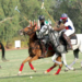 Kaduna International Polo Tourney Gallops Off October 31