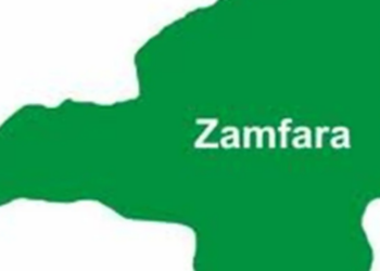 Shinkafi Urges FG To Ignore Zamfara Gov On Secret Talks With Bandits