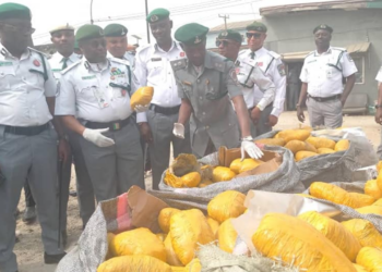 Anti-smuggling: ‘Reduce Duty On Goods Not Produced In Nigeria’