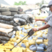Customs Intercepts N242m Truckloads Of Rice, Cannabis, Others In Ogun