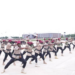 1,762 Graduate From FRSC Training 5 1,762 Graduate From FRSC Training