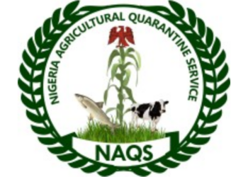 Quarantine Service Destroys N16.5m Donkey Skins In Kebbi