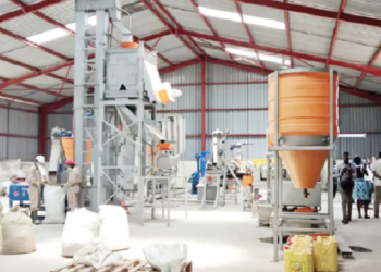 Establishing Agric Produce Grinding Business For Profit