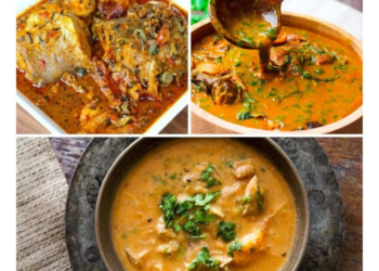 Profiting From Home Soup Delivery Business