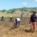 Adamawa To Boost Dry Season Farming