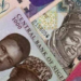 Nigeria’s Currency Designs