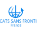 Cybercrimes: ASF France Trains 25 Experts On Digital Rights 5 Cybercrimes: ASF France Trains 25 Experts On Digital Rights