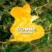 Gombe Ranks 5th On 2023 Transparency, Integrity Index