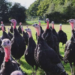 Investing In Turkey For Christmas 5 Investing In Turkey For Christmas