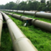 Pipeline Contract: Niger Delta Group Cautions Against Economic Sabotage 5 Pipeline Contract: Niger Delta Group Cautions Against Economic Sabotage