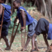 Predicts End Of Polio In Nigeria 5 Predicts End Of Polio In Nigeria