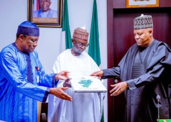 Shettima Tasks NEDC On Prudent Use Of Resources, Legacy Projects