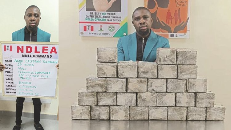 NDLEA Intercepts Hong Kong, France-bound Cocaine Traffickers 1 cocaine trafficker