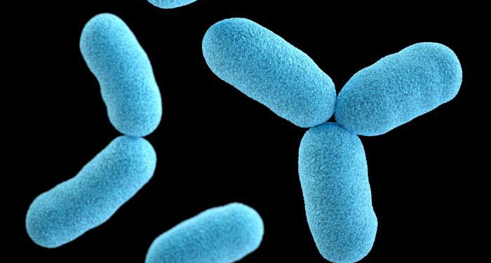 Diphtheria