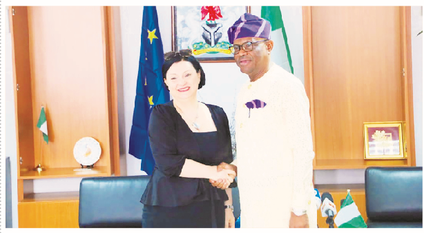 We’re Not Responsible For Observers’ Report On Nigeria’s Poll – EU 1 L-R: European Union Ambassador to Nigeria, Samuela Isopi with the FCT minister, Nyesom Wike, during the envoy’s courtesy visit to the FCTA in Abuja, yesterday. PHOTO BY IBRAHIM MOHAMMED