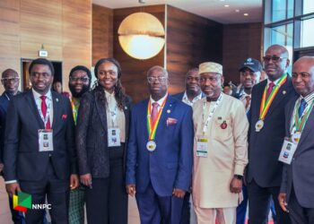 NNPCL Advocates Diversified Energy Portfolio