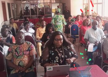 Absence Of Stiffer Penalties Responsible For GBV Rise In Nigeria — CSO