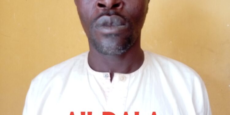 Aji Dala