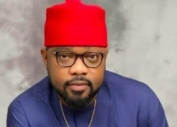 Imo PDP Celebrates Ugochinyere On Legal Victory At Appeal Court