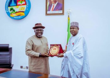 Marwa In Delta, Says NDLEA Destroyed 1,000 Hectares Of Marijuana Farmlands