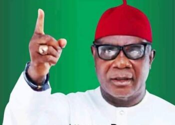 Imo Reps Seat: LP’s Nwogu Wins At Appeal Court    