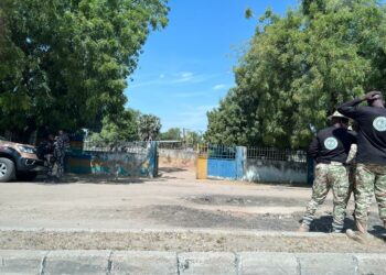 Police Debunk Rumoured Shootout With Immigration Personnel Over Borno Outpost