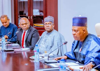 Dangote, Elumelu, Others To Drive Federal Govt’s Human Capital Dev’t Goals   
