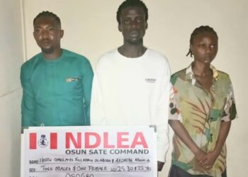 NDLEA Raids Illicit ‘Drug Party’, Arrests Organisers In Osun