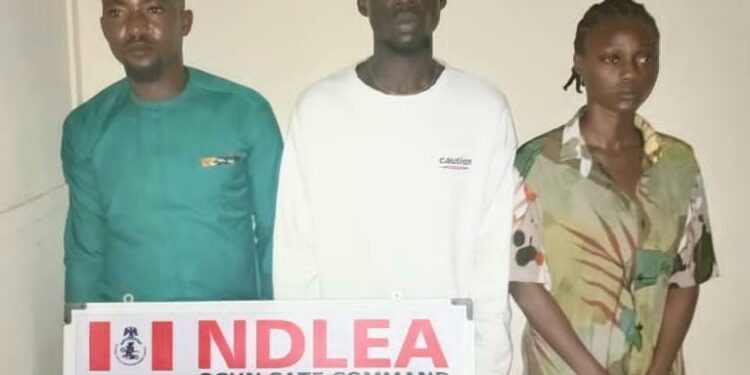 Ndlea