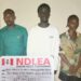 NDLEA Raids Illicit ‘Drug Party’, Arrests Organisers In Osun