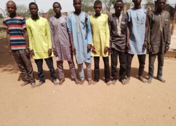 Eight Arrested For Kidnapping, Robbery In Kaduna   