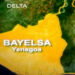 Bayelsa Guber: CSO Seeks Probe Of Violence In Nembe Community