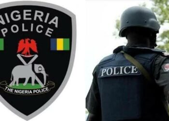 Appeal Court Verdict: Police Warn Against Planned Protest In Kano