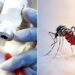 Ondo Residents Spend N20B On Malaria Treatment Annually - Committee 5 Ondo Residents Spend N20B On Malaria Treatment Annually – Committee