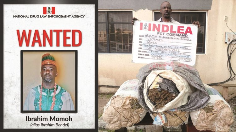 Ibrahim Momoh