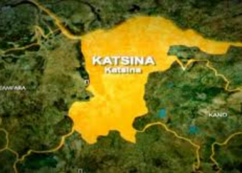Lawmaker Seeks Regulation Of NGOs In Katsina