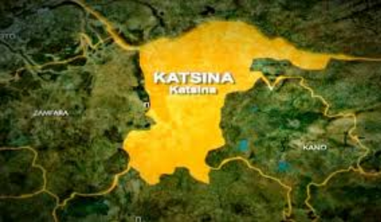 Lawmaker Seeks Regulation Of NGOs In Katsina 1 Katsina State