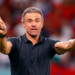 Champions League: PSG Vs Newcastle Is Like Final, Says Enrique 5 Champions League: PSG Vs Newcastle Is Like Final, Says Enrique