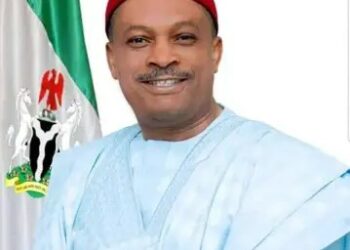 Guber Polls: Ugochinyere Endorses PDP Candidate Anyanwu, Exposes 'Rigging Plans' In Imo, Bayelsa, Kogi