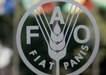 Acute Food Shortage Looms For 26m Nigerians By August 2024 – FAO Report