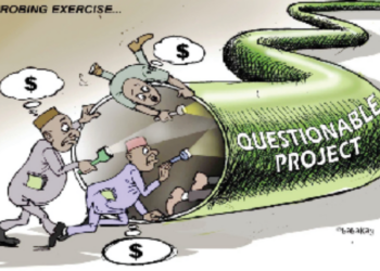 NASS’ Futile Probes